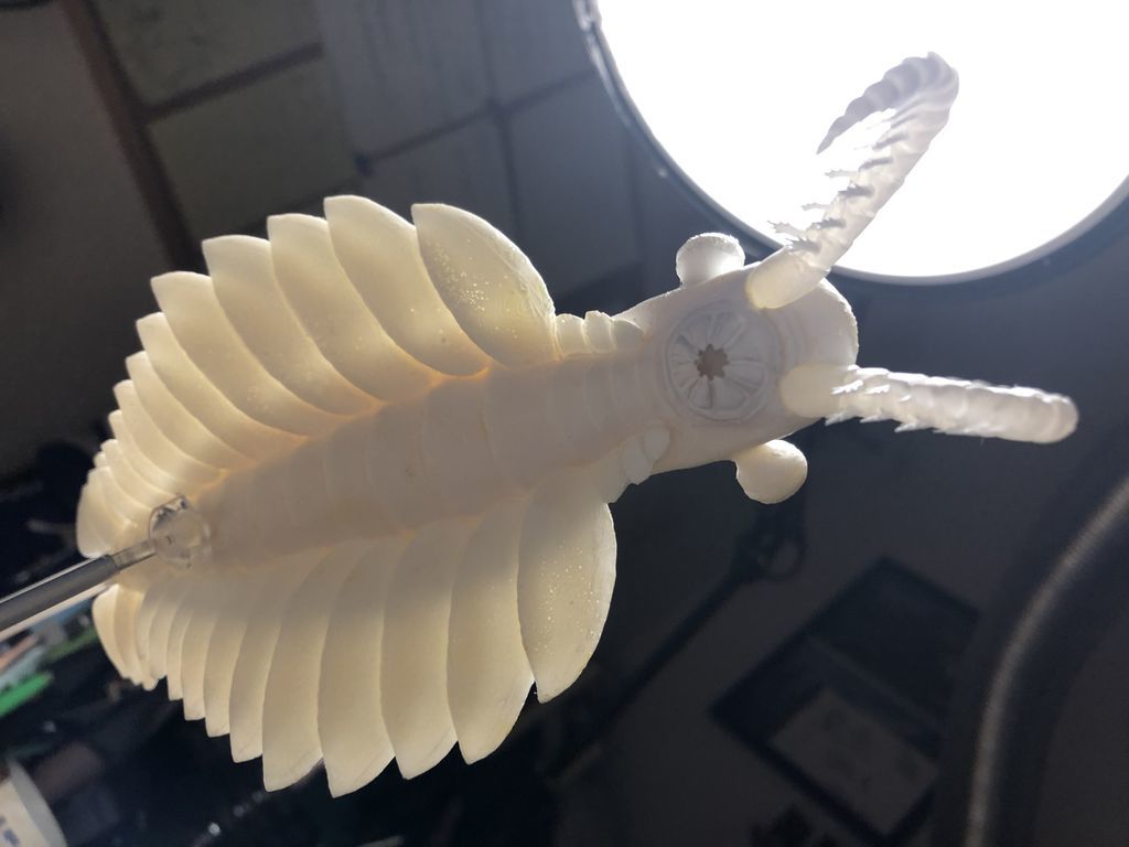 f:id:nsk31:20190312000527j:plain