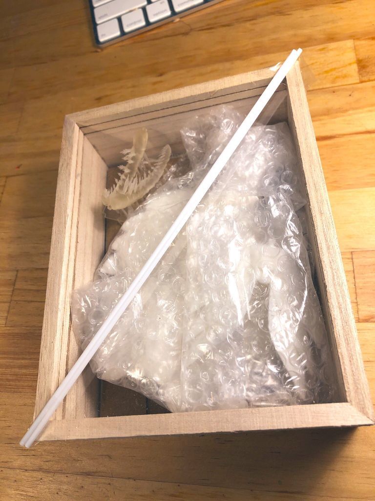 f:id:nsk31:20190312000710j:plain