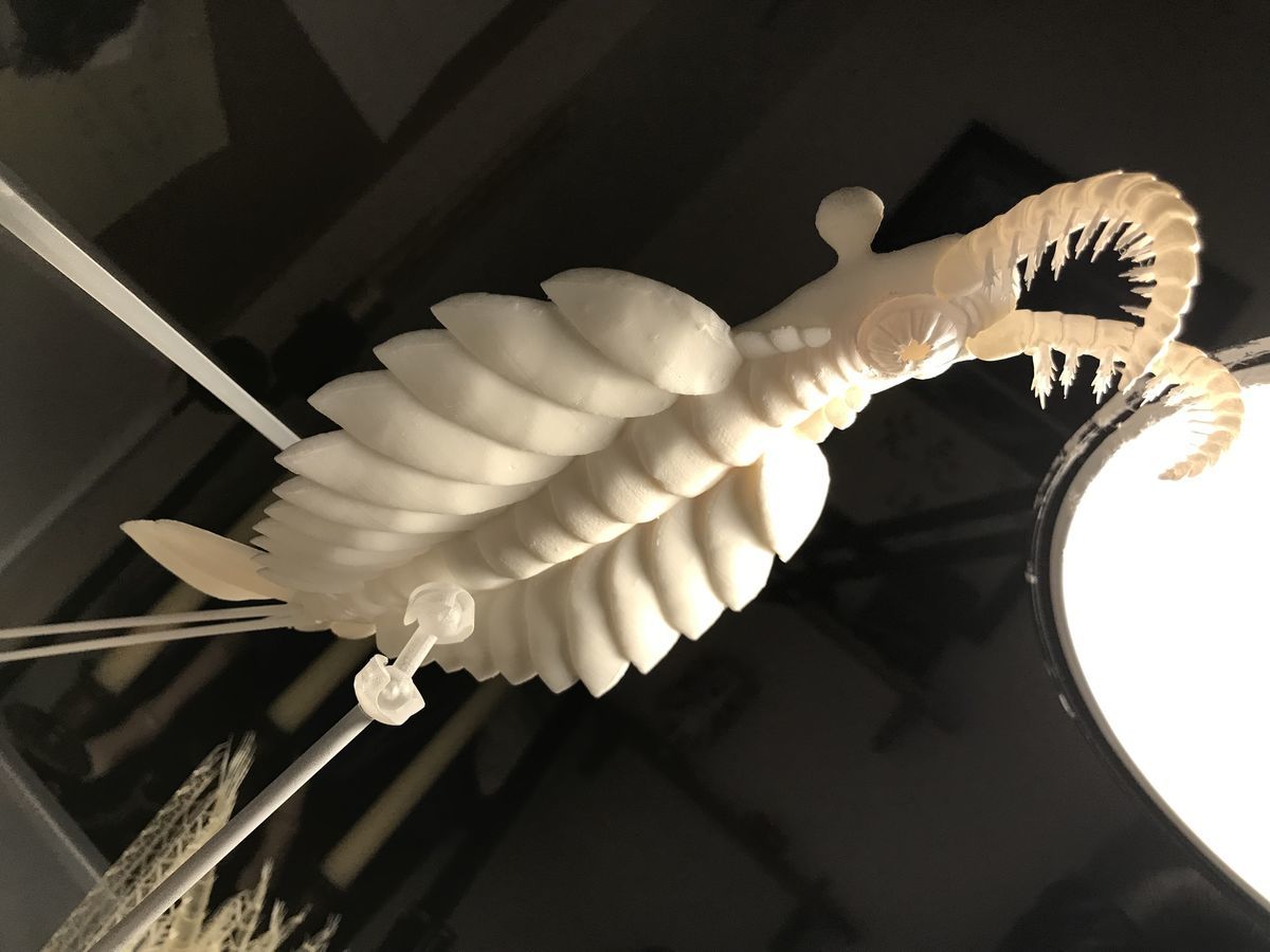 f:id:nsk31:20190319210801j:plain