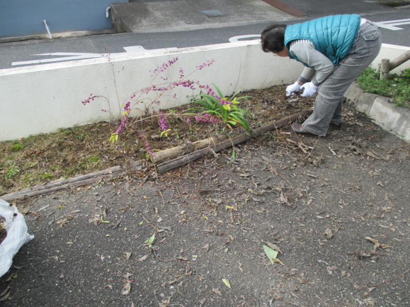 f:id:nskk-kurashiki:20151201112825j:image