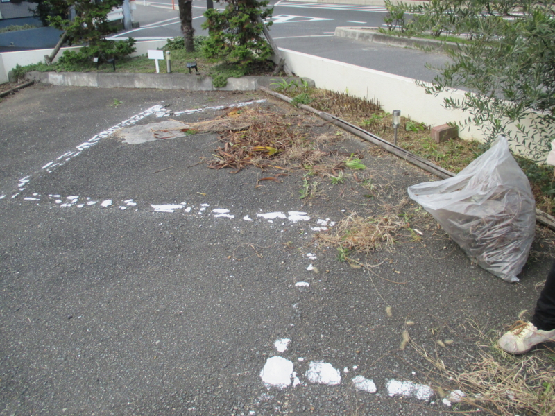 f:id:nskk-kurashiki:20151201135914j:image