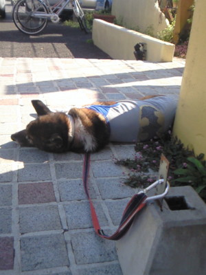 f:id:nsko:20101030235244j:image f:id:nsko:20101030235244j:image