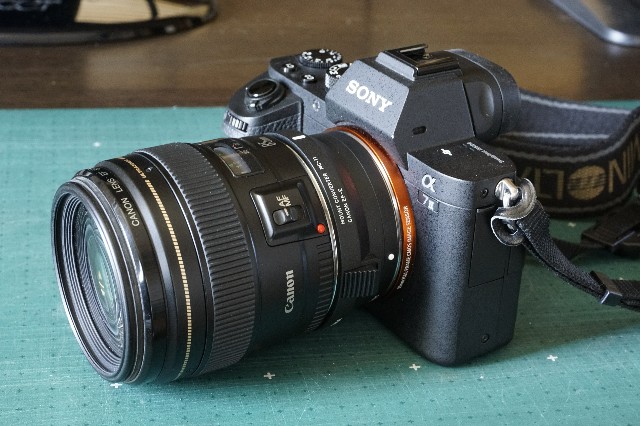 SONY α7ii + SIGMA MC-11 + CANON EF 85mm F1.8 USM - nsr88spの日記 SONY α7ii + SIGMA MC-11 + CANON EF 85mm F1.8 USM - nsr88spの日記