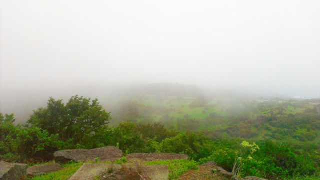 f:id:nsr_9:20210809220238j:plain