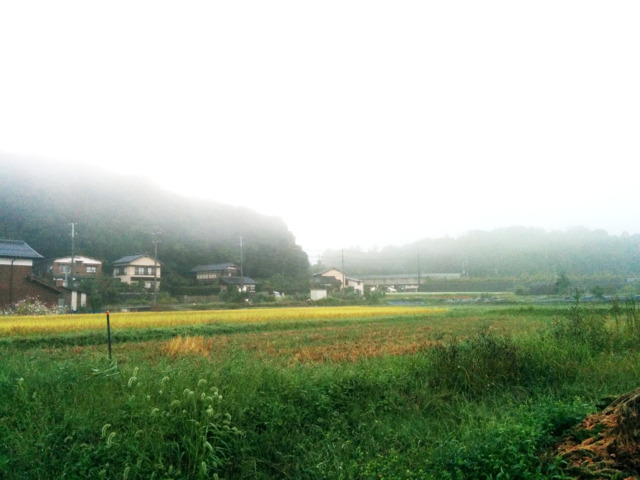 f:id:nsr_9:20210809220246j:plain