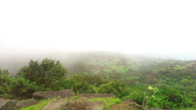 f:id:nsr_9:20210809222923j:plain