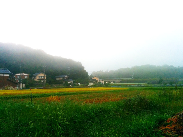 f:id:nsr_9:20210809222937j:plain