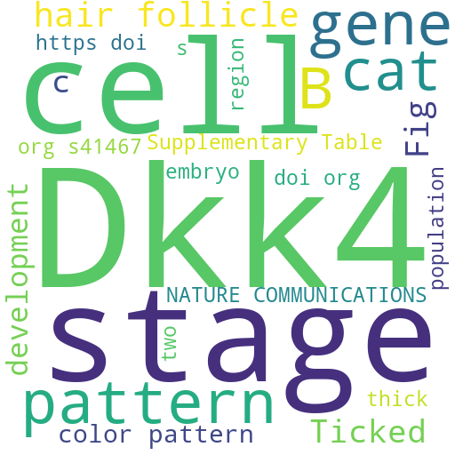 f:id:nsr_9:20211029172017p:plain