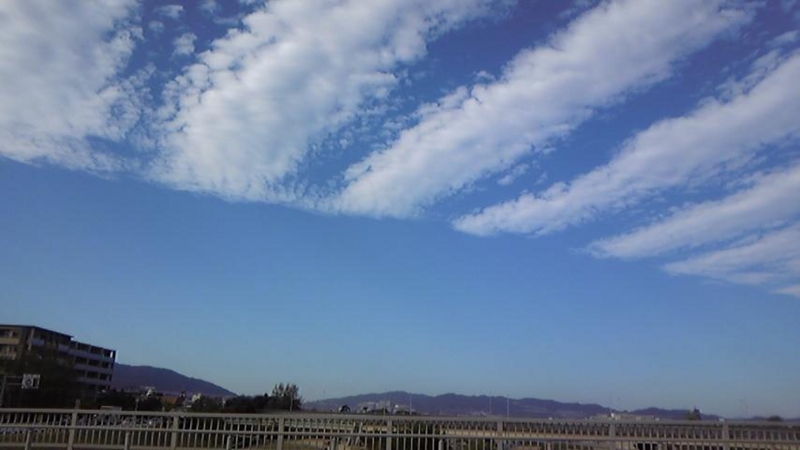 f:id:nssd:20091022144122j:image