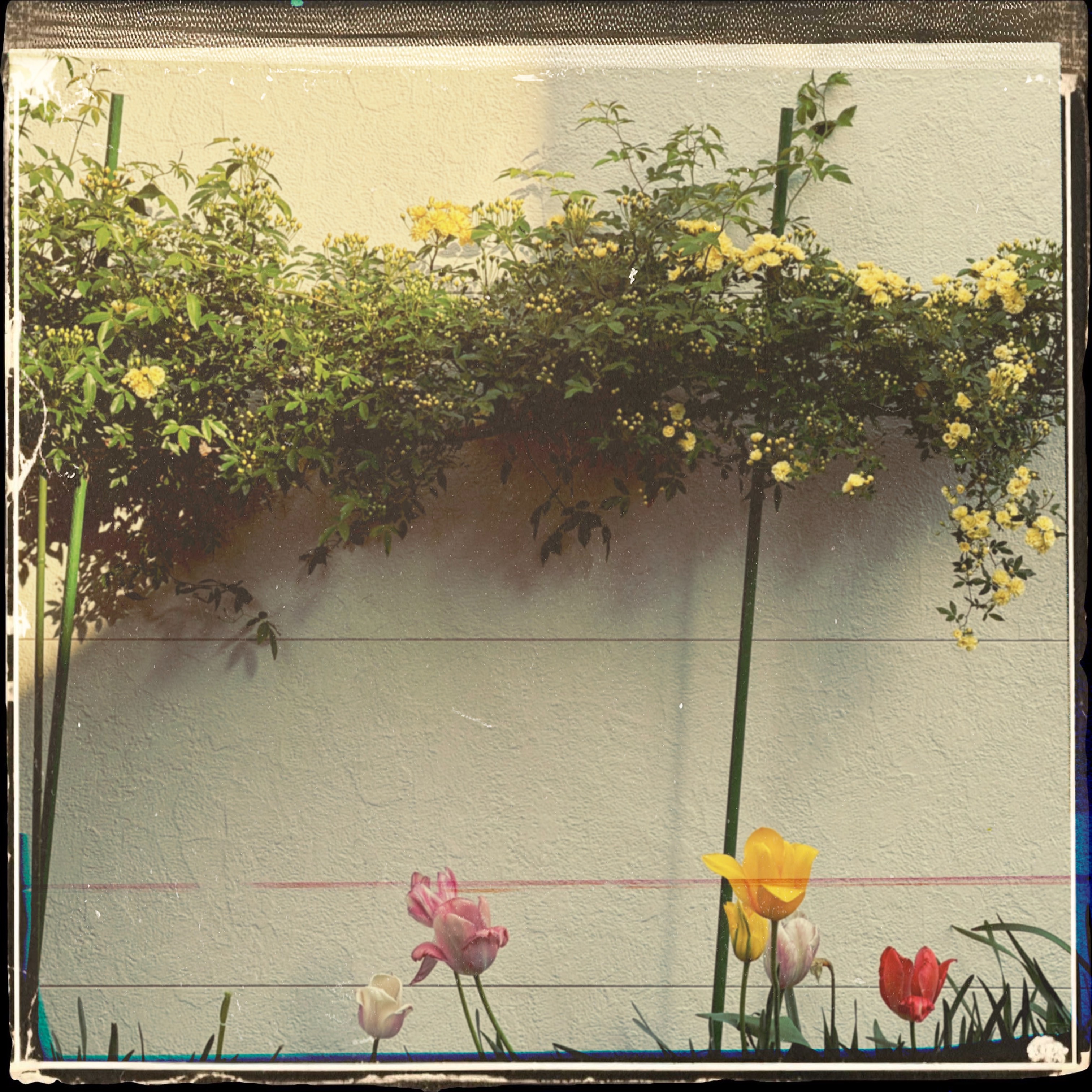 f:id:nstmsk:20260414075812j:image