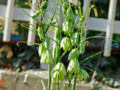 20140328200900