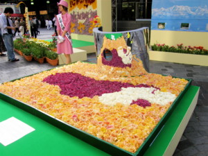 f:id:nsw2072:20090501155416j:image:left