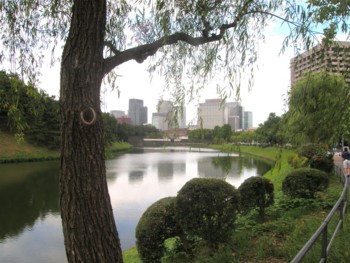 f:id:nsw2072:20100627161444j:image:left
