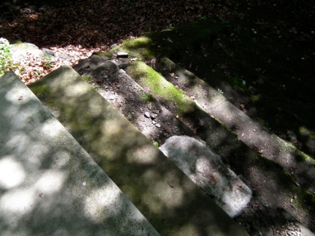 f:id:nsw2072:20130807095834j:image:w360:left