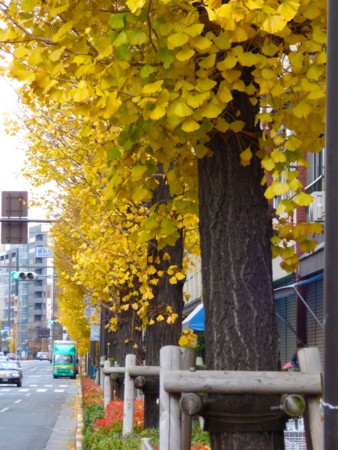 f:id:nsw2072:20141221133926j:image:w360:left