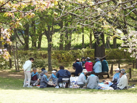 f:id:nsw2072:20180410163317j:image:w360:left