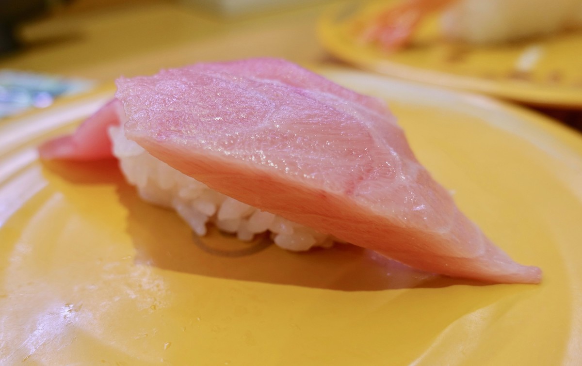 f:id:nsw2072:20190521055227:image:w240:left