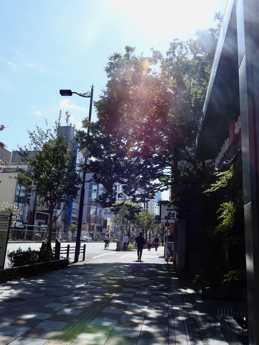 f:id:nsw2072:20191011210122j:plain:w240:left