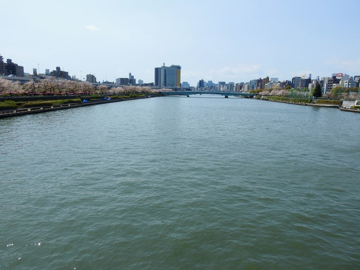 f:id:nsw2072:20200402145533j:plain:w360:right