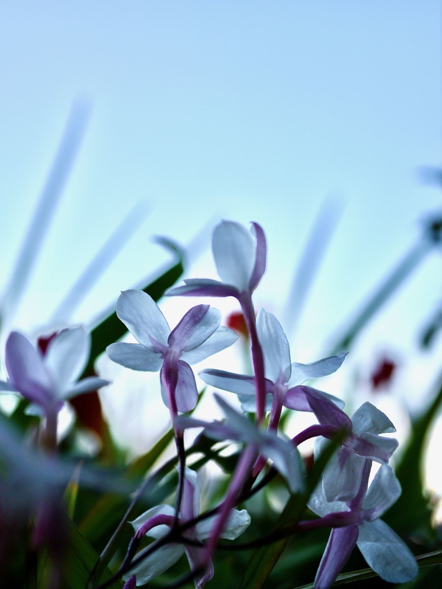 f:id:nsw2072:20200414113619j:plain:w360:left
