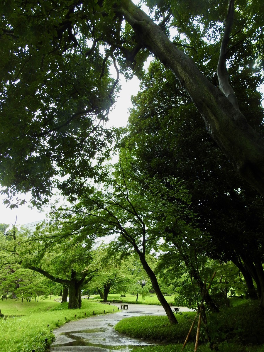 f:id:nsw2072:20200717154527j:plain f:id:nsw2072:20200717154527j:plain