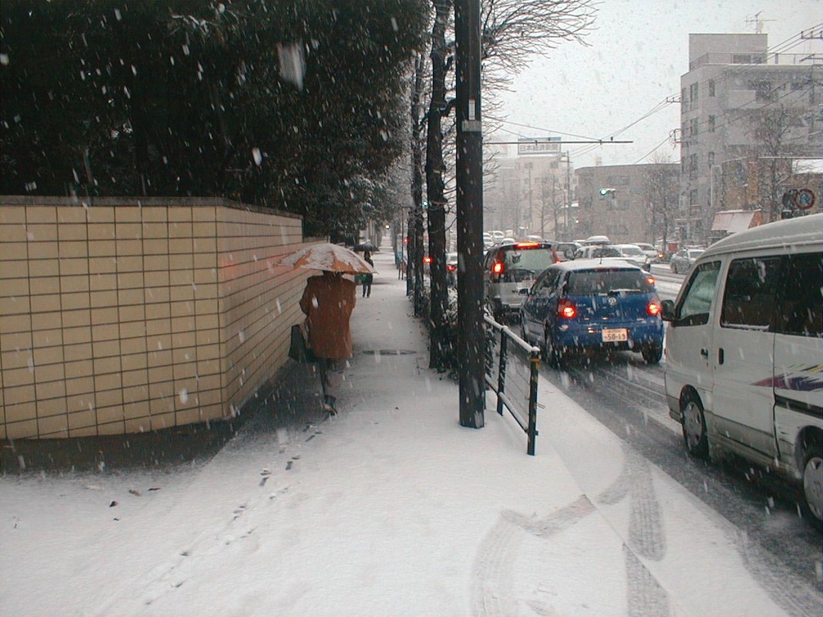 f:id:nsw2072:20210111011124j:plain:w360:left