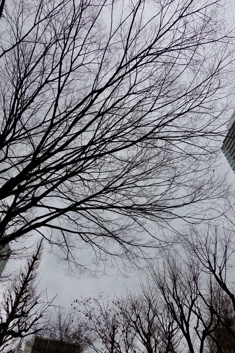 f:id:nsw2072:20210124160739j:plain:w360:left