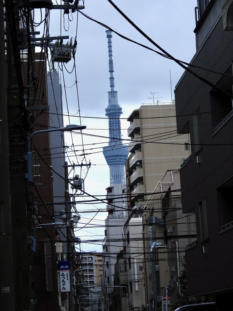 f:id:nsw2072:20210905195037j:plain:w360:left