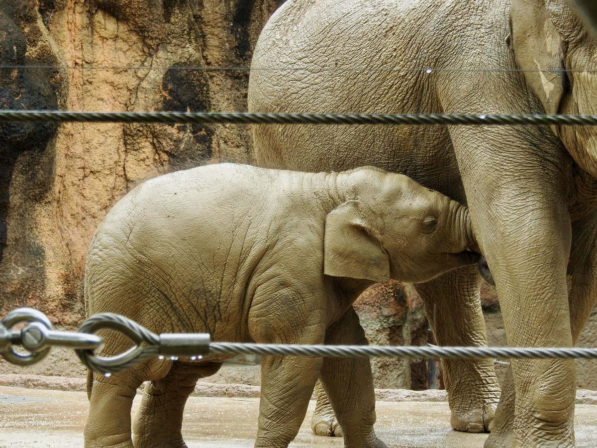 f:id:nsw2072:20211013204649j:plain