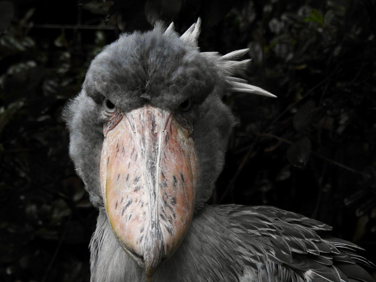 f:id:nsw2072:20211013204834j:plain:w360:left