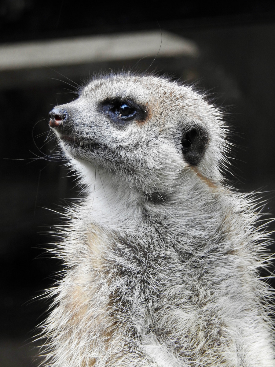 f:id:nsw2072:20211013204952j:plain:w360:right