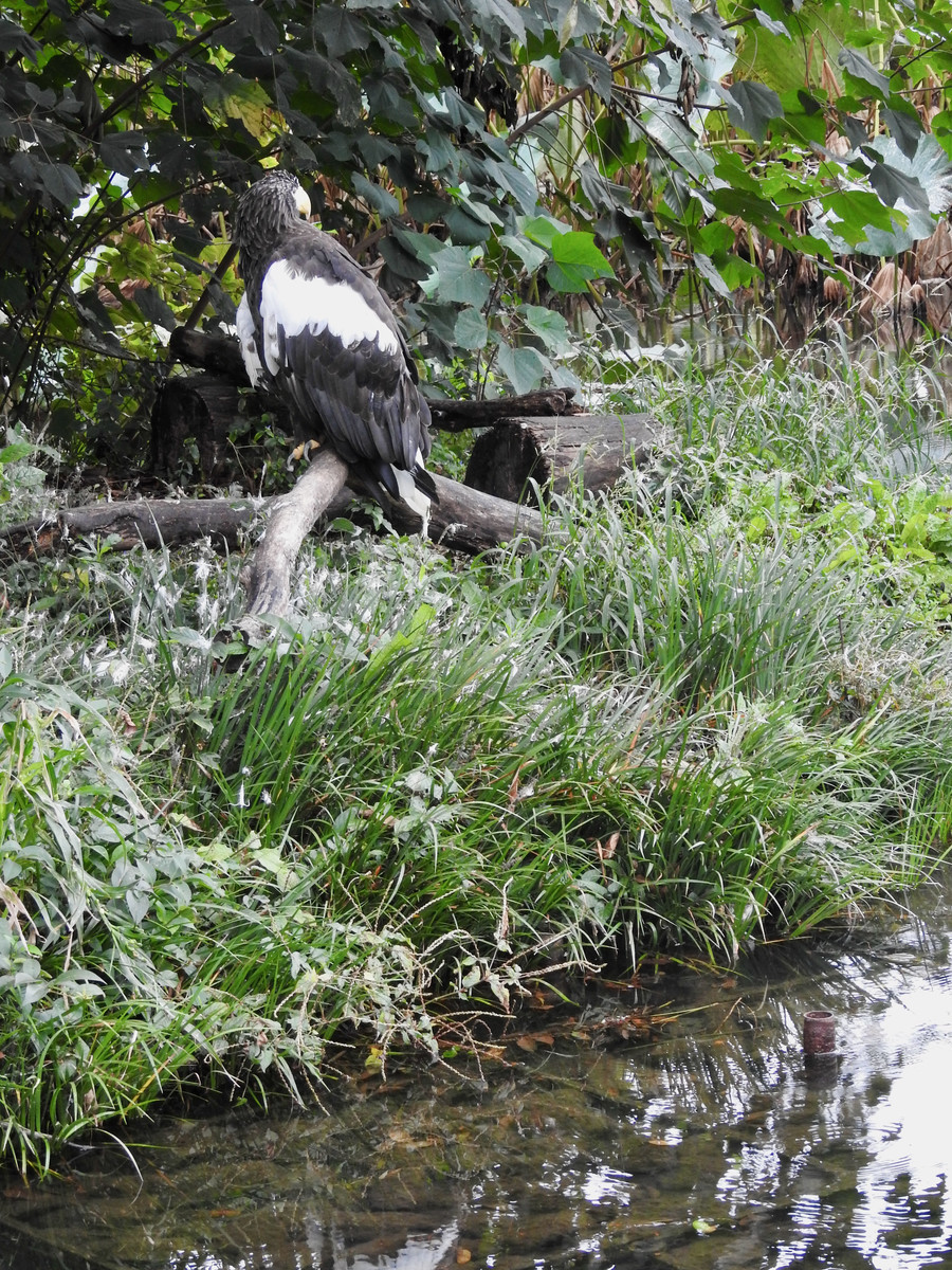 f:id:nsw2072:20211013205126j:plain:w360:left