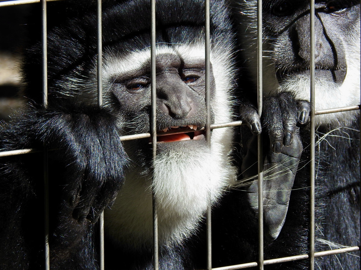 f:id:nsw2072:20211020210854j:plain:w360:left