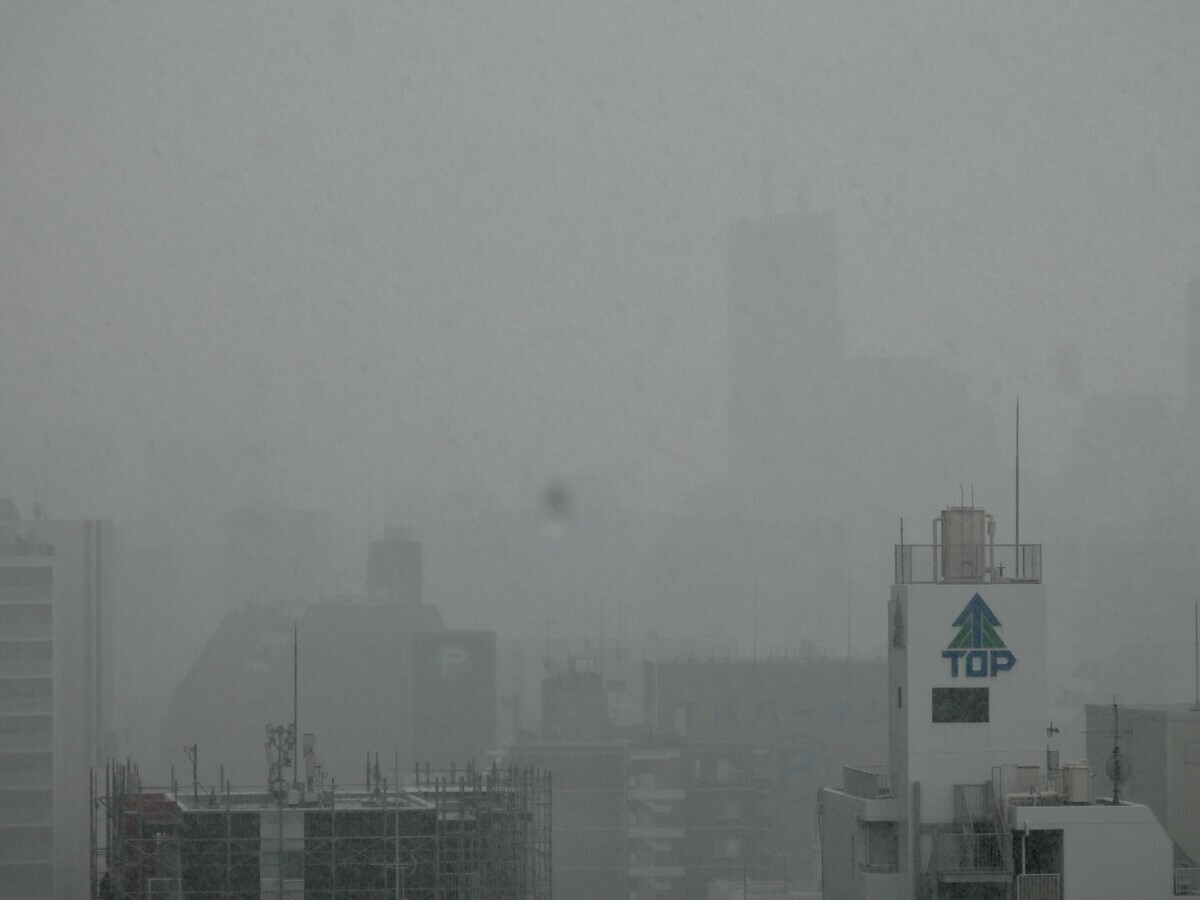 どっと雨が降る - ほぼ足りてまだ欲 その先