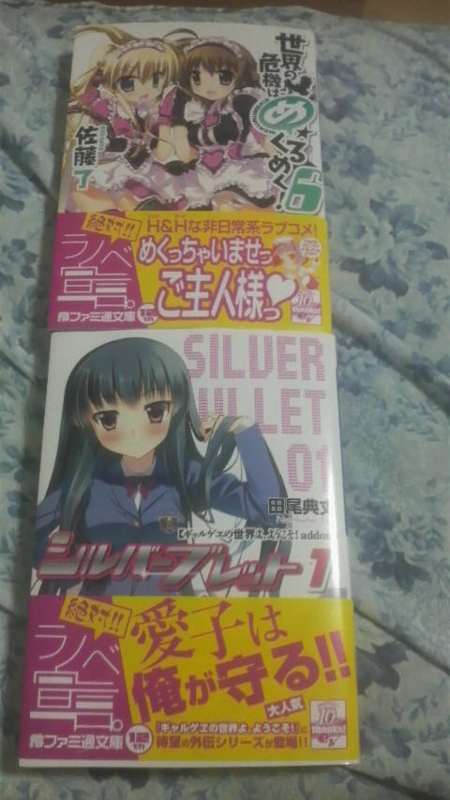 f:id:nt19451018:20100630204600j:image