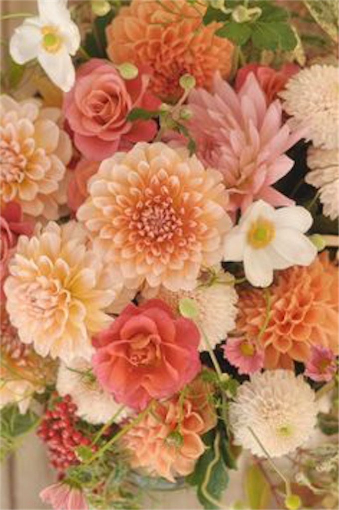 f:id:nt48131525n:20170328223229j:image f:id:nt48131525n:20170328223229j:image