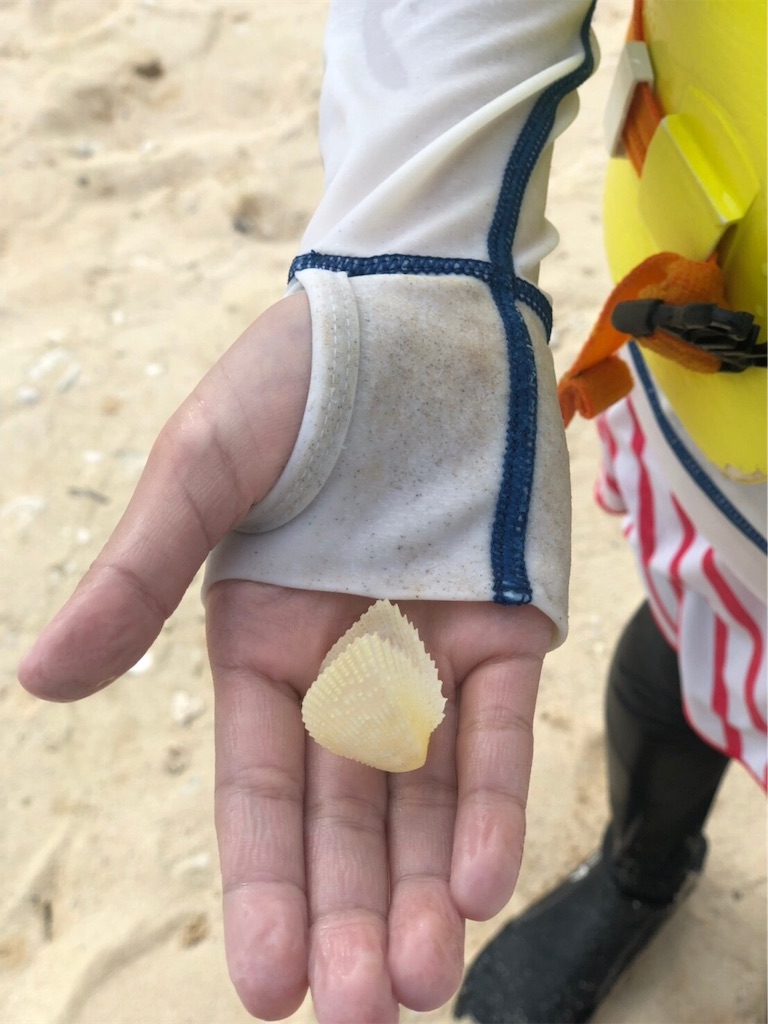 f:id:nt5263300:20190205183717j:image