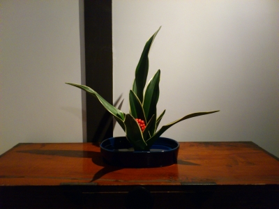 f:id:ntadashi2:20121228191906j:image