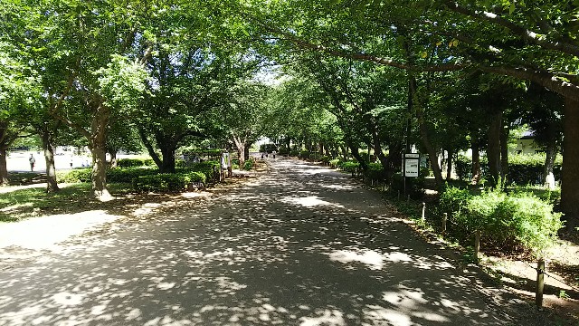 f:id:ntaki1720:20180703222209j:image f:id:ntaki1720:20180703222209j:image