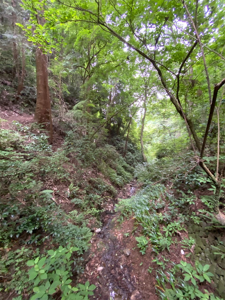 f:id:ntmcm:20200621020950j:image f:id:ntmcm:20200621020950j:image