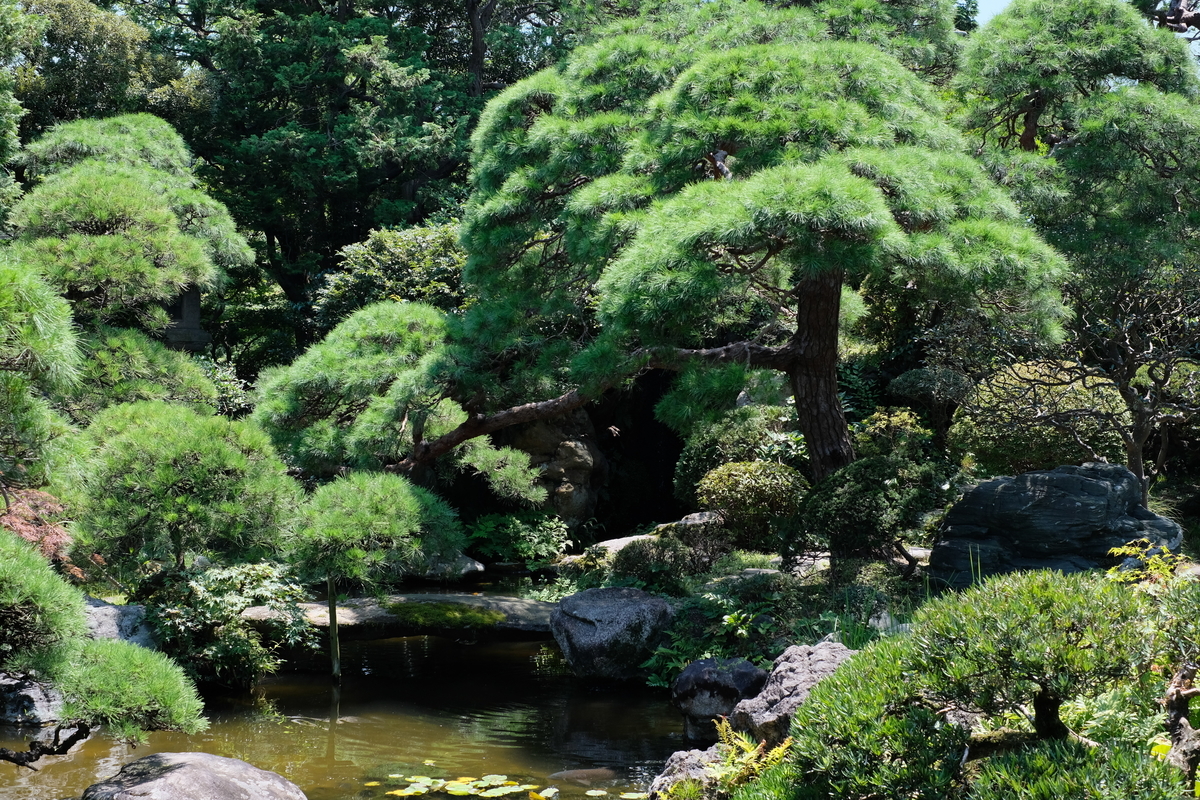 f:id:ntomina:20190812163351j:plain f:id:ntomina:20190812163351j:plain