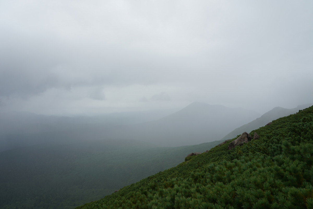f:id:nu-ma:20180824110219j:plain f:id:nu-ma:20180824110219j:plain