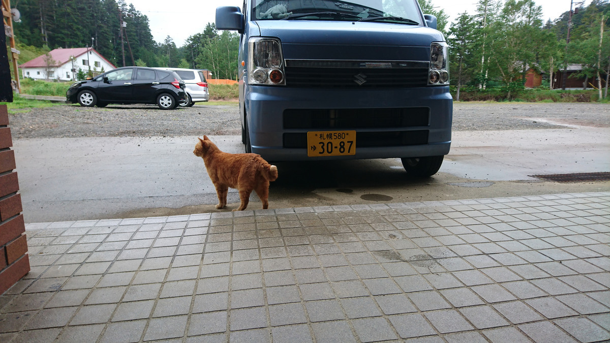 f:id:nu-ma:20180824122327j:plain