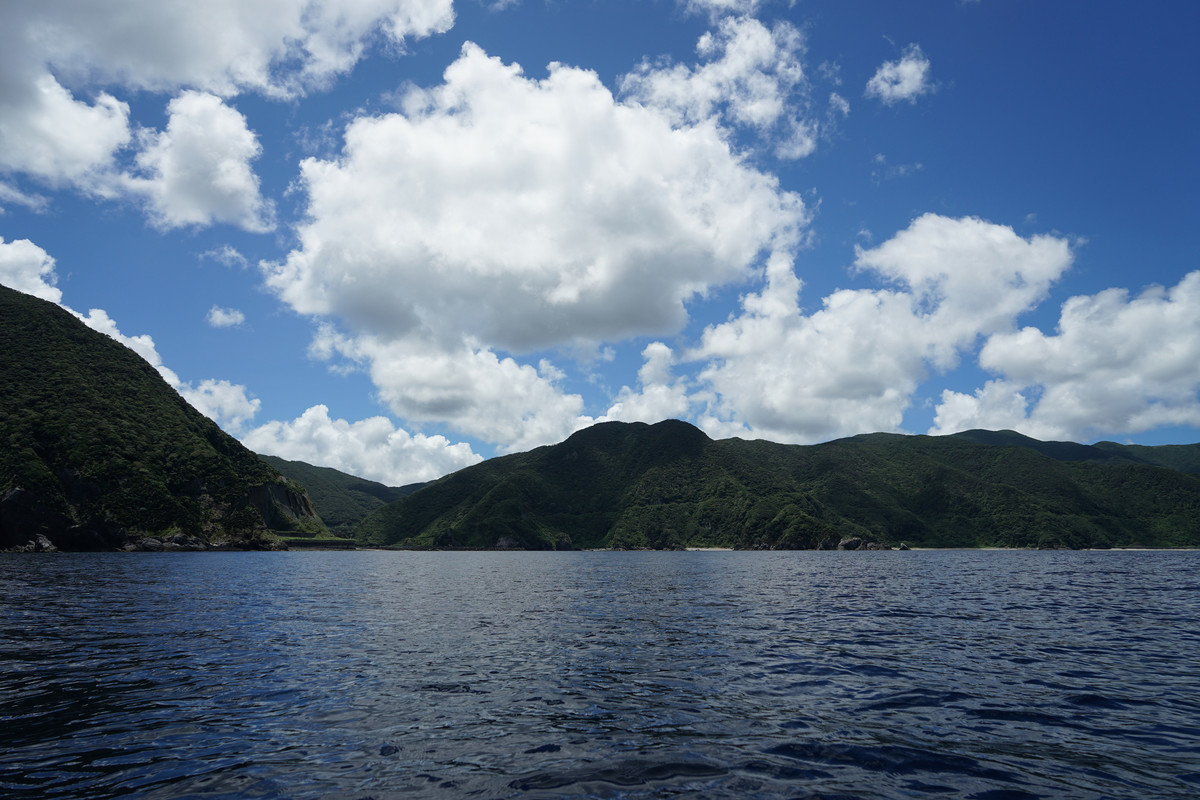 f:id:nu-ma:20190819154615j:plain f:id:nu-ma:20190819154615j:plain
