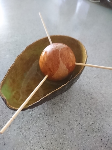 f:id:nu_no:20190314003809j:plain f:id:nu_no:20190314003809j:plain