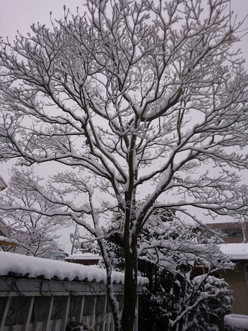 f:id:nu_no:20190314222500j:plain f:id:nu_no:20190314222500j:plain