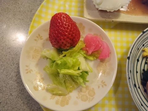 f:id:nu_no:20190325234913j:plain f:id:nu_no:20190325234913j:plain