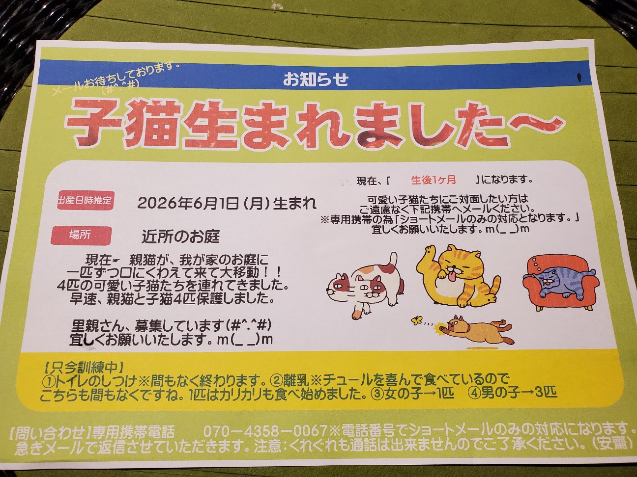 f:id:nu_no:20260704223502j:image f:id:nu_no:20260704223502j:image