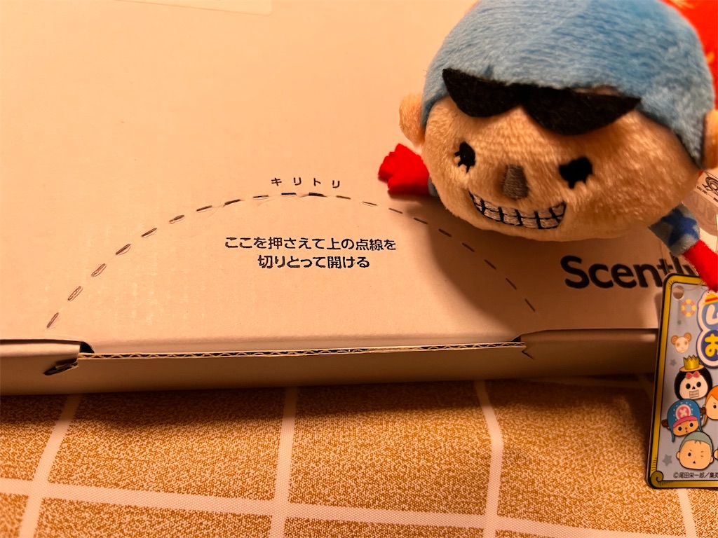 f:id:nuaanfu:20230222225249j:image f:id:nuaanfu:20230222225249j:image