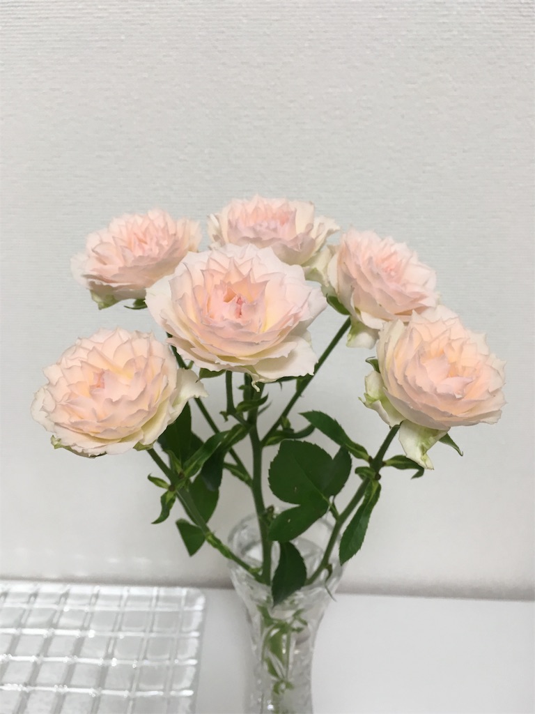 f:id:nuage_blanc:20160805221131j:image